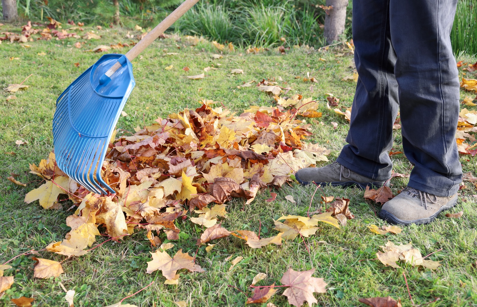 Bâche De Jardin étanche 2x2 M Avec Cordon - Pour élagage, Ramassage Et Protection - Idéale Pour L'entretien Des Plantes Et La Collecte Des Débris